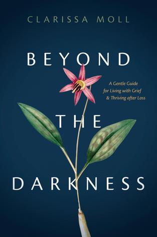 Beyond the Darkness by Clarissa Moll