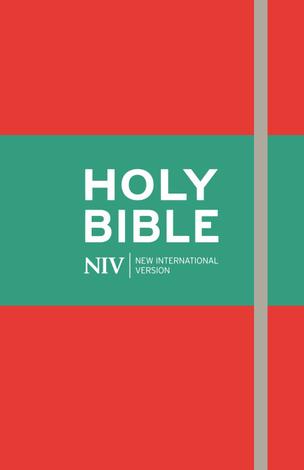 NIV Thinline Red Bible by 