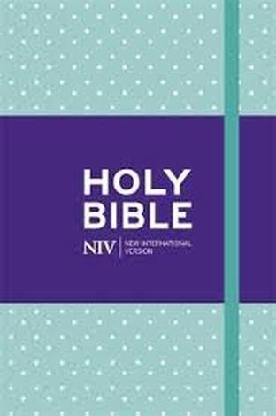 NIV Pocket  Notebook Bible by 