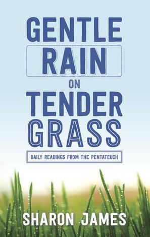 Gentle Rain on Tender Grass by Sharon James