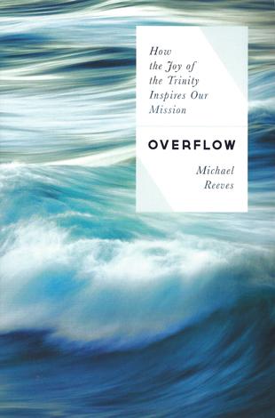 Overflow by Michael Reeves
