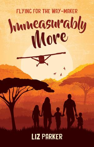 Immeasurably More by Liz Parker
