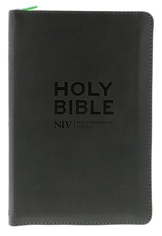 NIV Popular Soft-tone Bible with Zip by 