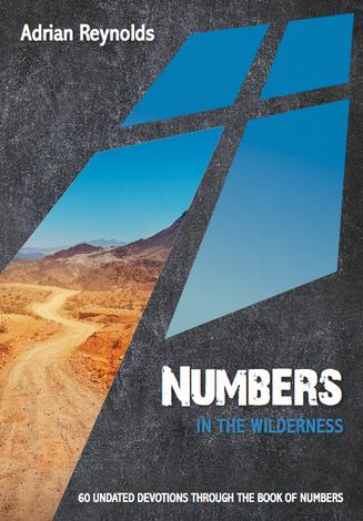 Numbers: In the Wilderness by Adrian Reynolds