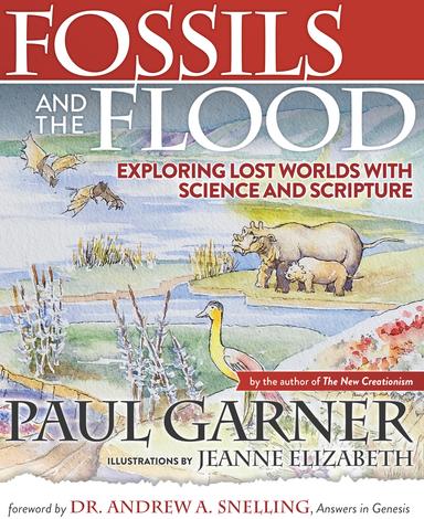 Fossils and the Flood by Paul Garner